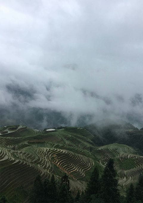 西藏悦游者旅行社有限公司驻马店营业网点