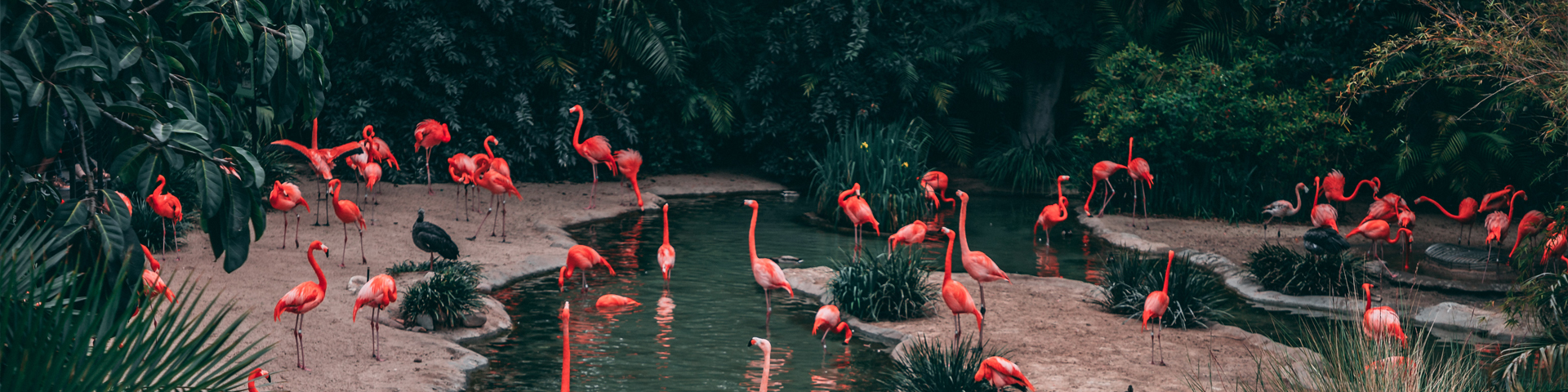 西藏悦游者旅行社有限公司驻马店营业网点