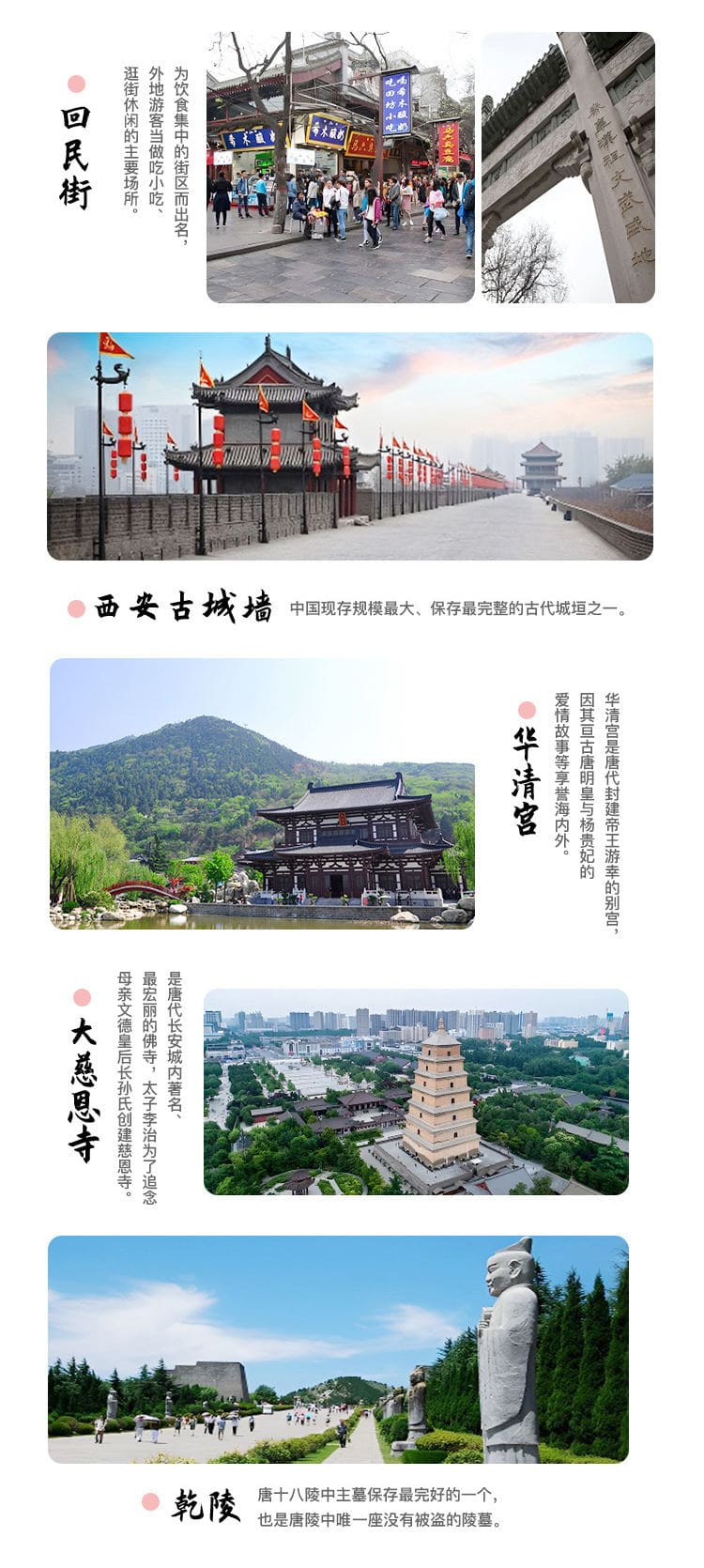 西藏悦游者旅行社有限公司驻马店营业网点